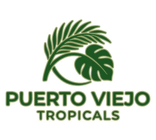PV Tropicals